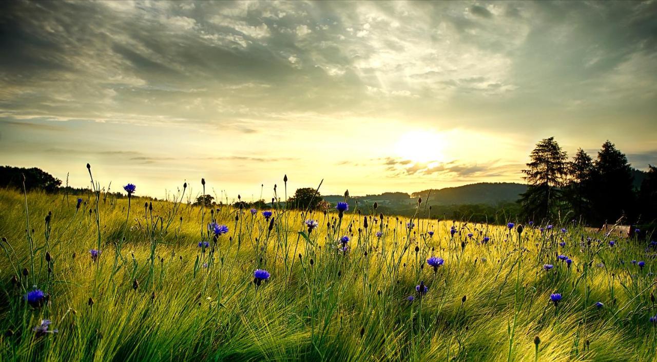 Wohlfuehlherberge Weitblick Erlbach  ภายนอก รูปภาพ
