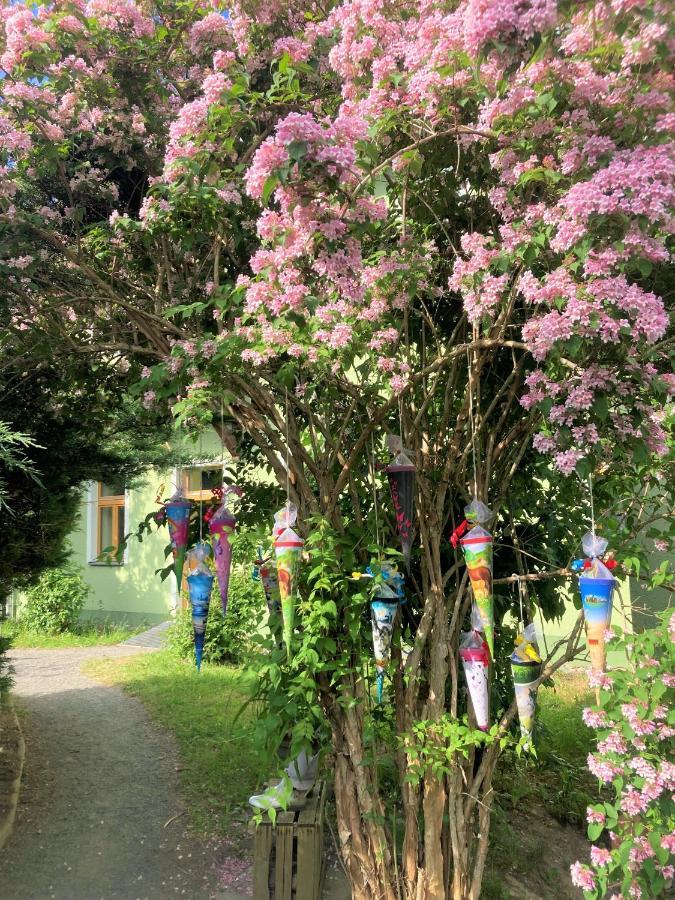 Wohlfuehlherberge Weitblick Erlbach  ภายนอก รูปภาพ